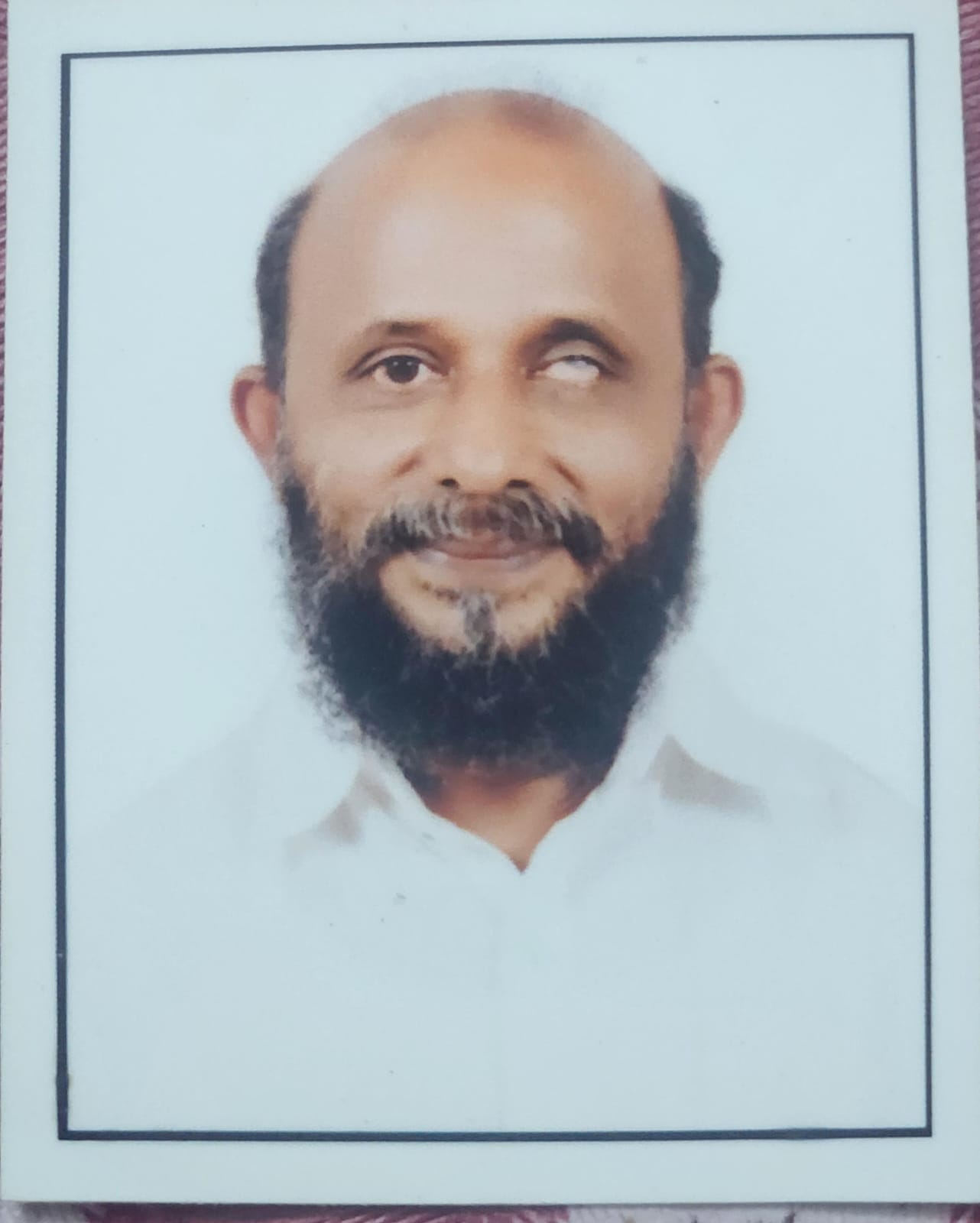 SALIM. H